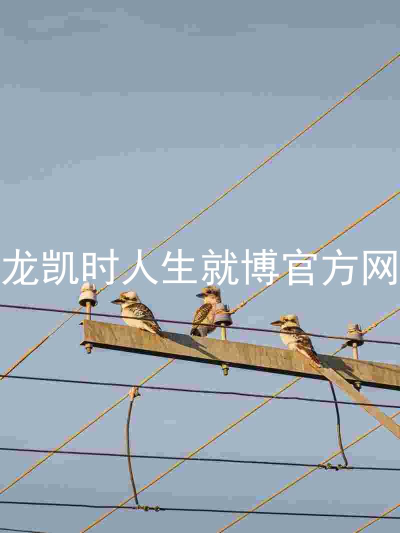 尊龙凯时人生就博官方网站